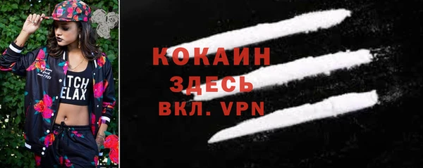 молекула духа Лихославль