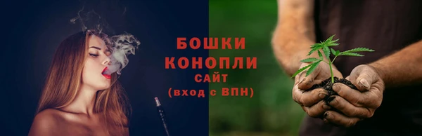молекула духа Лихославль