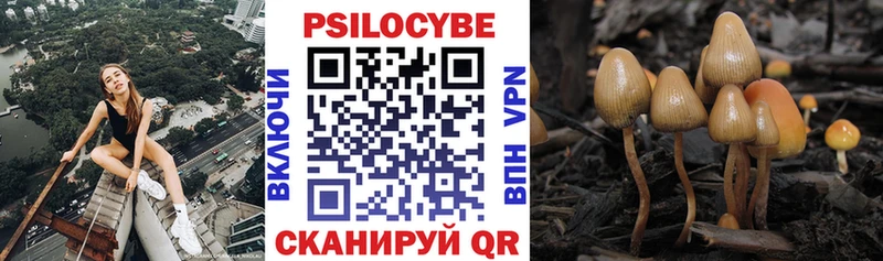 как найти наркотики  Нарткала  Галлюциногенные грибы Cubensis 