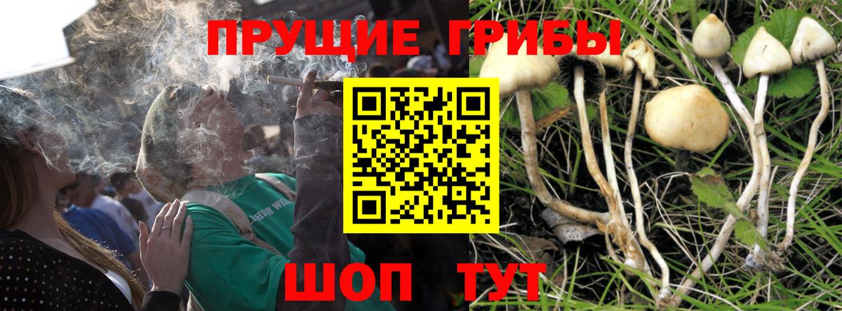 Нарткала  дарнет шоп  Вход с VPN  Галлюциногенные грибы Cubensis 